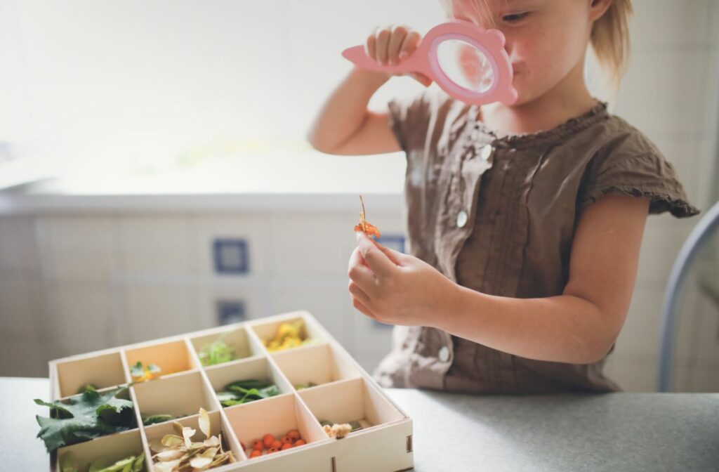 A child holding a pink magnifying glass to examine a small leaf, while standing at a table with a wooden tray filled with different nature items like leaves and berries.